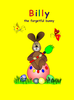 Billy the forgetful Bunny (Big Story Book 1)